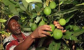 images/1646983302267images (1).jpg